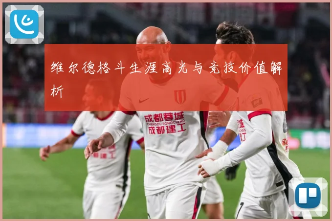 维尔德格斗生涯高光与竞技价值解析