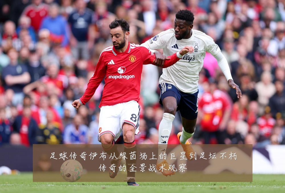 足球传奇伊布从绿茵场上的巨星到足坛不朽传奇的全景战术观察
